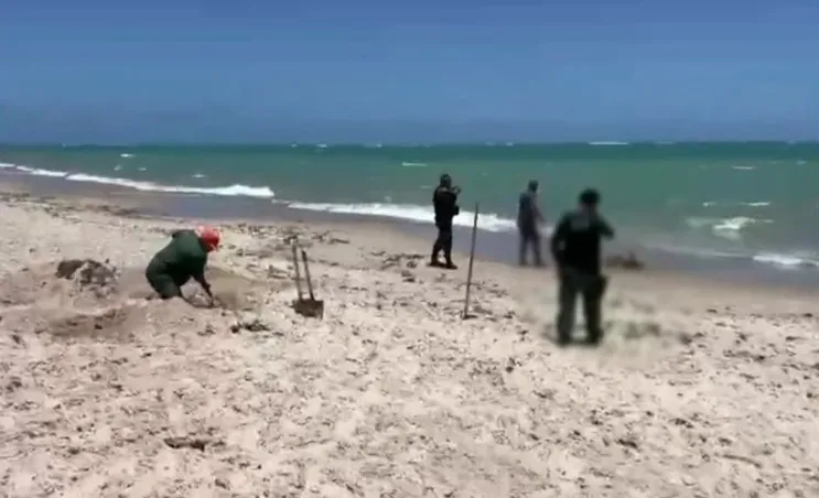 Golfinho-da-guiana é encontrado morto na praia de Ponta de Campina, em Cabedelo
